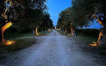 Foto eingereicht von Gästen Tenuta Olearum