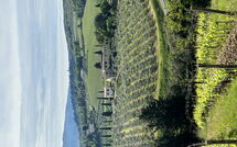 Foto eingereicht von Gästen Tenuta - Tenuta 4