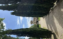 Foto eingereicht von Gästen Tenuta - Tenuta 4