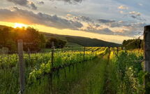 Foto eingereicht von Gästen Villa Il Caggio