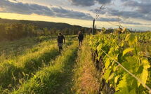 Foto eingereicht von Gästen Villa Il Caggio