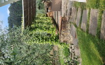 Foto eingereicht von Gästen Villa Bellostare