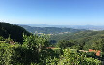 Foto eingereicht von Gästen Villa Portole Due