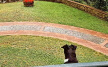 Foto eingereicht von Gästen Villa Contessa