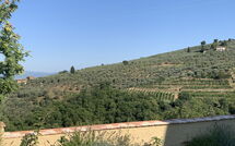 Foto eingereicht von Gästen Casa Lionardo