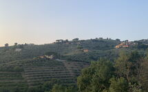 Foto eingereicht von Gästen Casa Lionardo