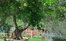 Foto eingereicht von Gästen Villa Eftychia