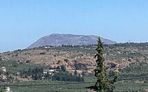 Foto eingereicht von Gästen Villa Kallos