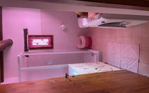 Foto eingereicht von Gästen La Ruota