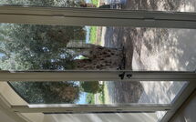 Foto eingereicht von Gästen Tenuta Olearum