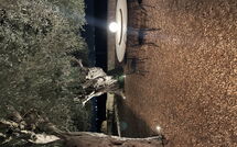 Foto eingereicht von Gästen Tenuta Olearum