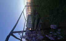 Foto eingereicht von Gästen Il Sole di Vino