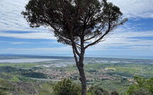 Foto eingereicht von Gästen Casarosa di Mariasole