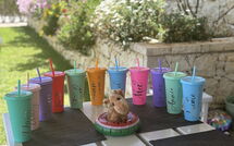 Foto eingereicht von Gästen Villa Corfu Panorama