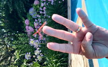 Foto eingereicht von Gästen Votana House