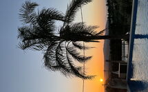 Foto eingereicht von Gästen Villa Kois