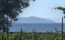 Foto eingereicht von Gästen Villa Casale