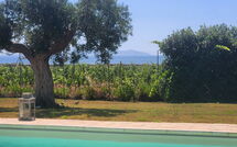 Foto eingereicht von Gästen Villa Casale