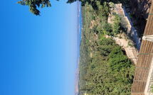 Foto eingereicht von Gästen Villa Giorgos