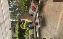 Foto eingereicht von Gästen Villa Nova