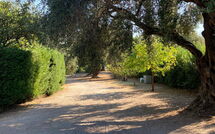 Foto eingereicht von Gästen Villa Armonia