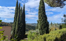Foto eingereicht von Gästen Bigiolo a Melazzano