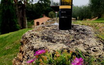 Foto eingereicht von Gästen Villa le Buche