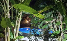 Foto eingereicht von Gästen Klapas