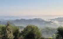 Foto eingereicht von Gästen Casa Andrea
