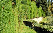 Foto eingereicht von Gästen Montegufoni