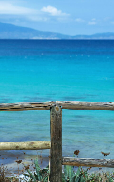 Cooperation with Travel Agents and Tour Operators