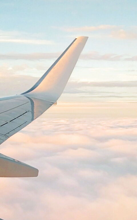 Lesen Sie exklusive Artikel über Reise-Ratgeber.